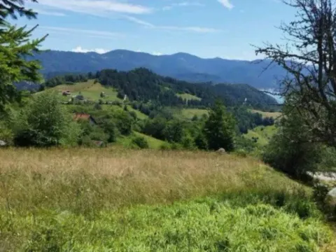 Sale, land lot, 500m², Tara, Srbija - image 5