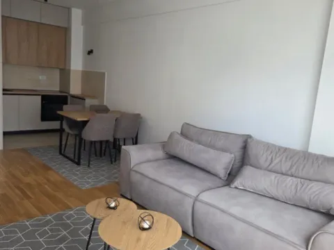 Izdavanje, jednosoban stan, 43m², Zabjelo, Podgorica - image 8