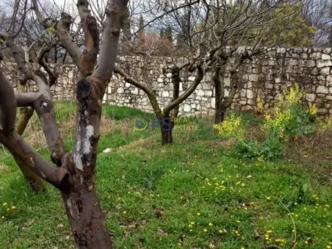 Prodaja, kuća, 400m², Podgorica, Crna Gora - image 5