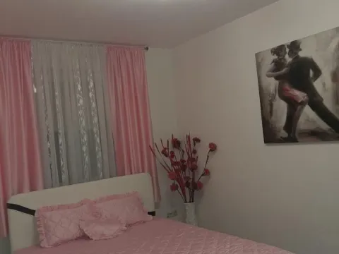 Sale, house, 154m², Sajlovo, Novi Sad Sve Podlokacije - image 8