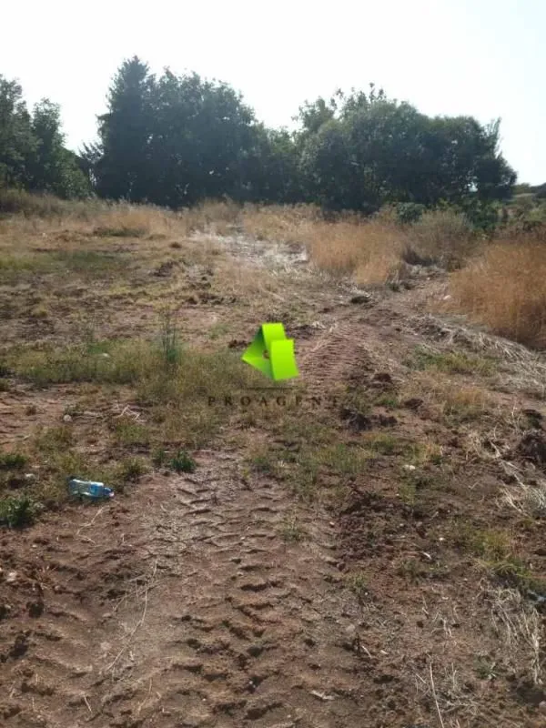 Prodaja, plac, 3100m², Crveni Krst, Niš