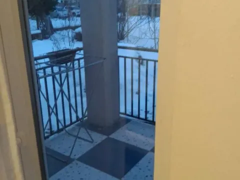 Izdavanje, jednosoban stan, 40m², Veternik, Novi Sad Sve Podlokacije - image 9