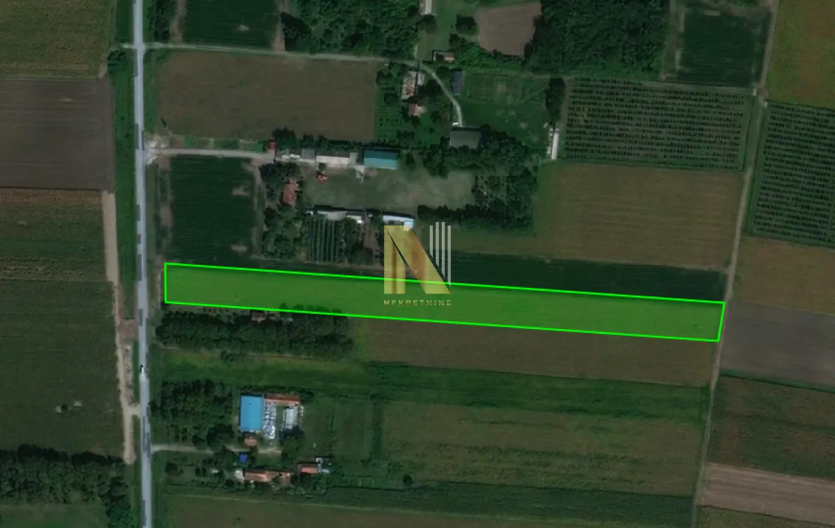 Sale, land lot, 11509m², Čenej, Novi Sad Sve Podlokacije