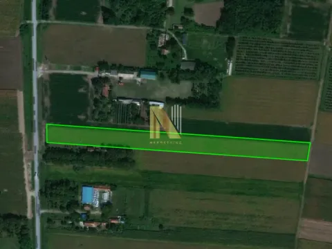 Sale, land lot, 11509m², Čenej, Novi Sad Sve Podlokacije - image 1