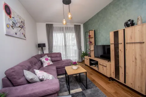 Dnevna soba sa garniturom u ljubičastoj boji, TV elementom i tepihom. - image 4