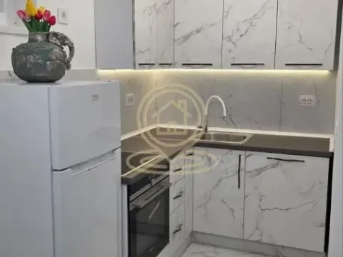 Rent, one bedroom apartment, 45m², Veternik, Novi Sad Sve Podlokacije - image 8