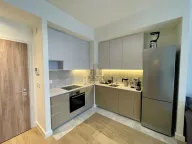 Izdavanje, dvosoban stan, 53m², Savski Venac, Beograd - image 4