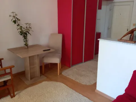Izdavanje, garsonjera, 22m², Budva, Crna Gora - image 1