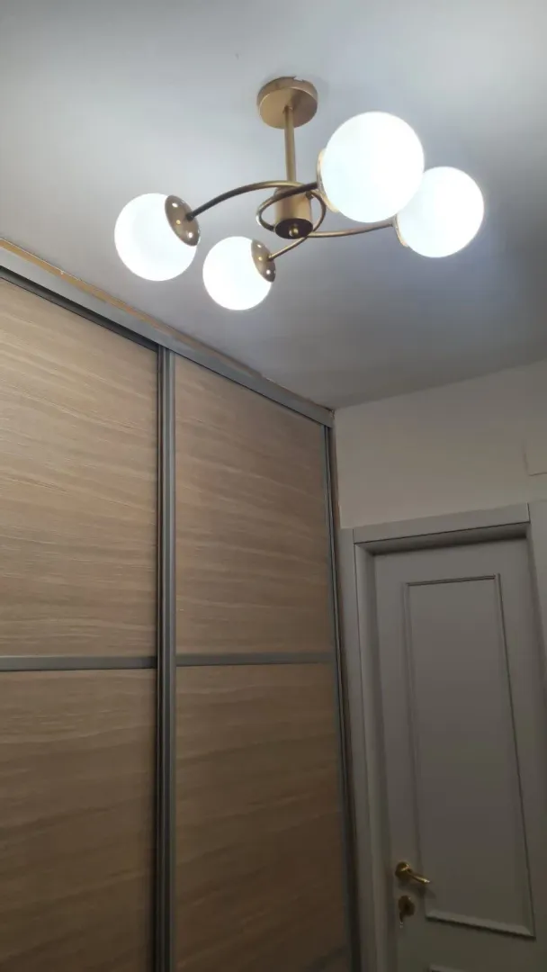 Moderna plafonjera i ugradni plakar sa drvenom teksture u hodniku.