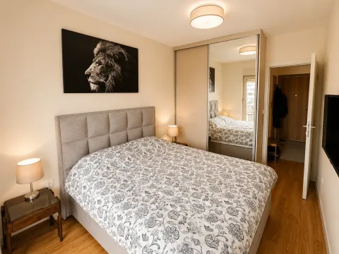 Izdavanje, jednosoban stan, 47m², Central Point, Podgorica - image 7