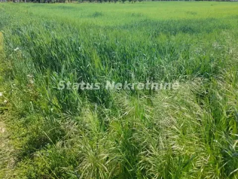 Sale, land lot, 5800m², Irig, Srbija - image 4