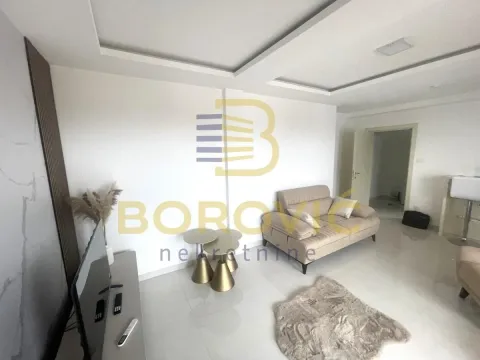 Izdavanje, dvosoban stan, 51m², Borča 1, Borča Sve Podlokacije - image 4