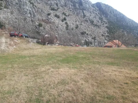 Prodaja, plac, 5000m², Danilovgrad, Crna Gora - image 3