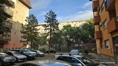 View of the building courtyard with parking and greenery. - image 13