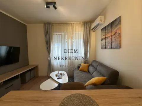 Rent, one bedroom apartment, 45m², Preko Morače, Podgorica - image 7