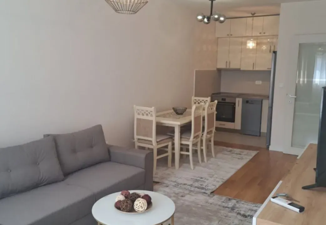 Izdavanje, jednosoban stan, 46m², Central Point, Podgorica
