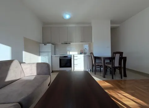 Rent, studio apartment, 34m², Zabjelo, Podgorica - image 4