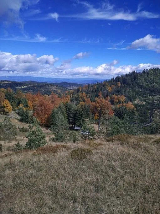 Prodaja, plac, 7000m², Tara, Srbija