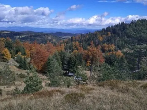 Prodaja, plac, 7000m², Tara, Srbija - image 2