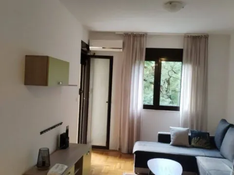 Izdavanje, dvosoban stan, 43m², Podmaine, Budva - image 4