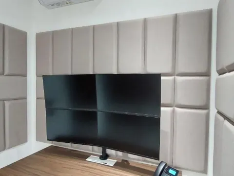 Izdavanje, poslovni prostor, 570m², Petrovaradin, Novi Sad - image 4