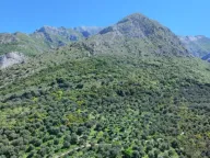 Prodaja, plac, 10500m², Stari Bar, Bar - image 6