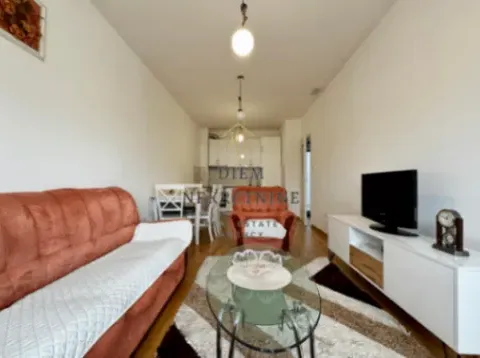 Izdavanje, jednosoban stan, 50m², Stari Aerodrom, Podgorica - image 9