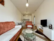 Izdavanje, jednosoban stan, 50m², Stari Aerodrom, Podgorica - image 9