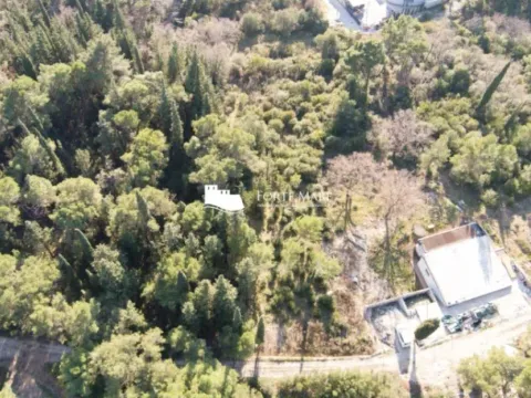 Prodaja, plac, 960m², Mojdež, Herceg Novi - image 5