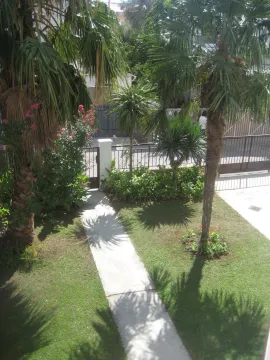 Landscaped courtyard with a pathway, lawn, and palm trees in front of the building entrance. - image 11