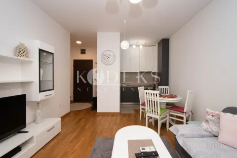 Izdavanje, jednosoban stan, 42m², City Kej, Podgorica - image 2