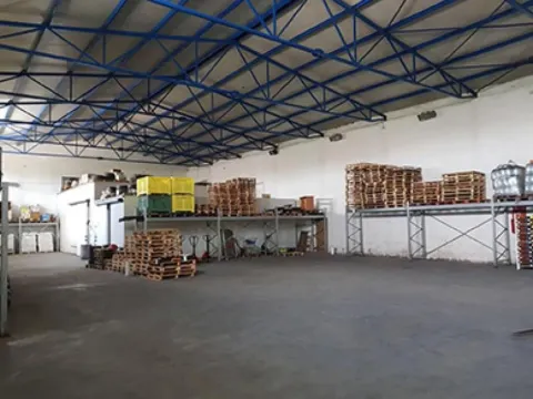 Izdavanje, poslovni prostor, 750m², Altina, Beograd - image 6