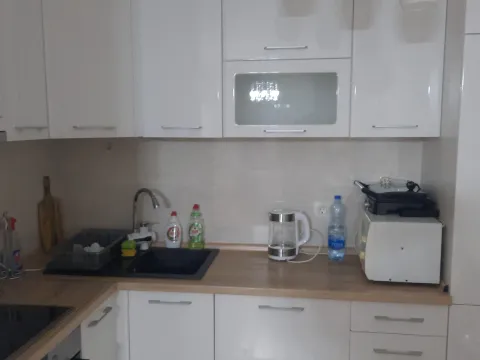 Izdavanje, jednosoban stan, 49m², Central Point, Podgorica - image 1