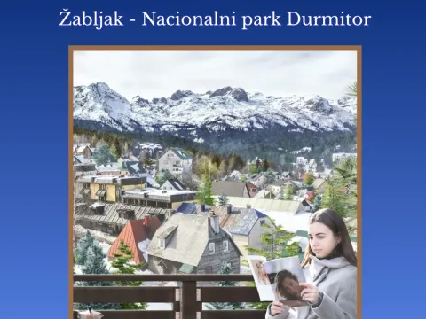 Prodaja, dvosoban stan, 48m², Žabljak II, Žabljak - image 14