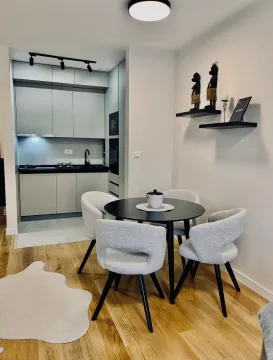 Rent, one bedroom apartment, 40m², Central Point, Podgorica - image 2