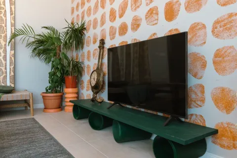 Dnevna soba sa televizorom na zelenoj polici i dekorativnim zidom. - image 22