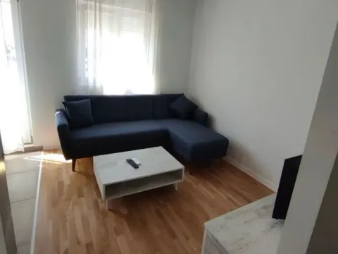 Rent, studio apartment, 20m², Zabjelo, Podgorica - image 7