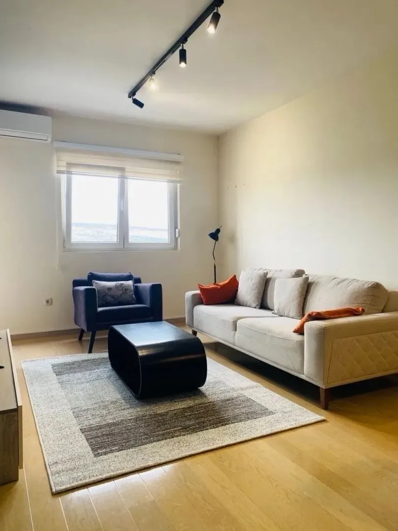 Bright and tidy living room with a sofa, armchair, and rug.