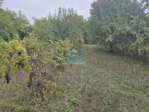 Prodaja, plac, 1200m², Alibegovac, Petrovaradin - image 2