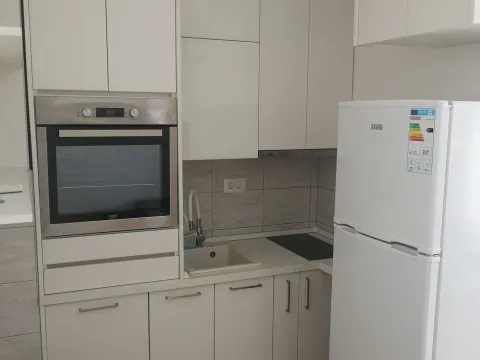 Rent, one bedroom apartment, 30m², Zagorič, Podgorica - image 8