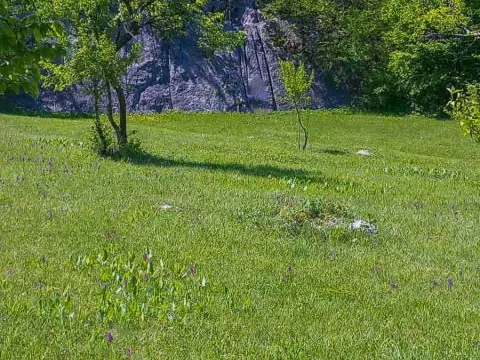 Sale, land lot, Nikšić, Crna Gora - image 5