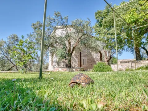 Sale, house, 480m², Reževići, Budva - image 15