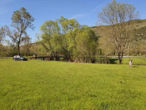 Sale, land lot, 8500m², Bandići, Danilovgrad