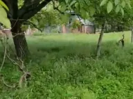 Sale, house, 2401m², Rogami, Podgorica - image 6