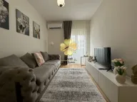 Izdavanje, jednosoban stan, 40m², Central Point, Podgorica - image 1