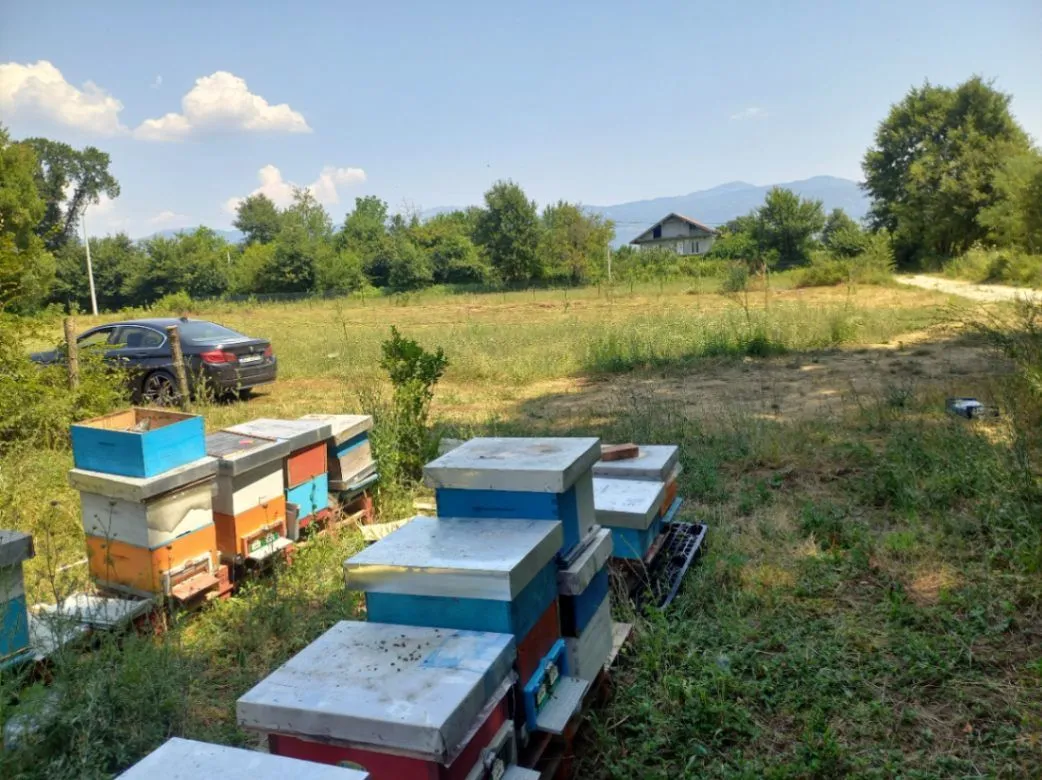 Prodaja, plac, 1550m², Ćurilac, Danilovgrad