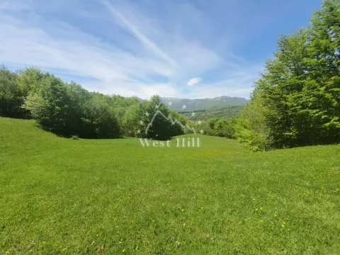 Prodaja, plac, 32000m², Kolašin, Crna Gora - image 1