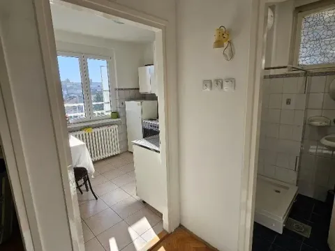 Rent, one bedroom apartment, 30m², Vračar Hram, Vračar Sve Podlokacije - image 17