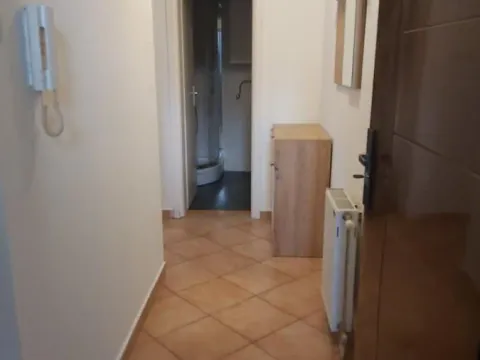 Izdavanje, garsonjera, 28m², Telep, Novi Sad Sve Podlokacije - image 8