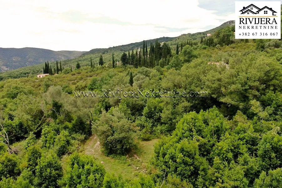 Prodaja, plac, 7251m², Mojdež, Herceg Novi
